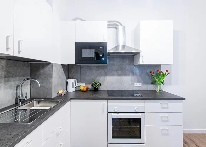 Delux Apartment Stara Oficyna 10